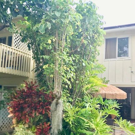 Lovely Relaxing Lanikai Studio, Legal Vacation Rental Kailua Exteriör bild
