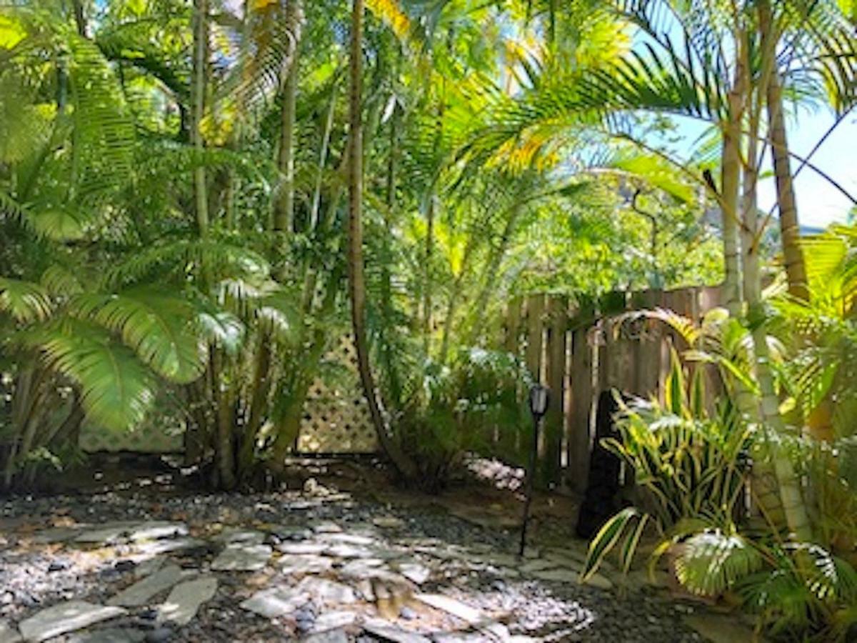 Lovely Relaxing Lanikai Studio, Legal Vacation Rental Kailua Exteriör bild