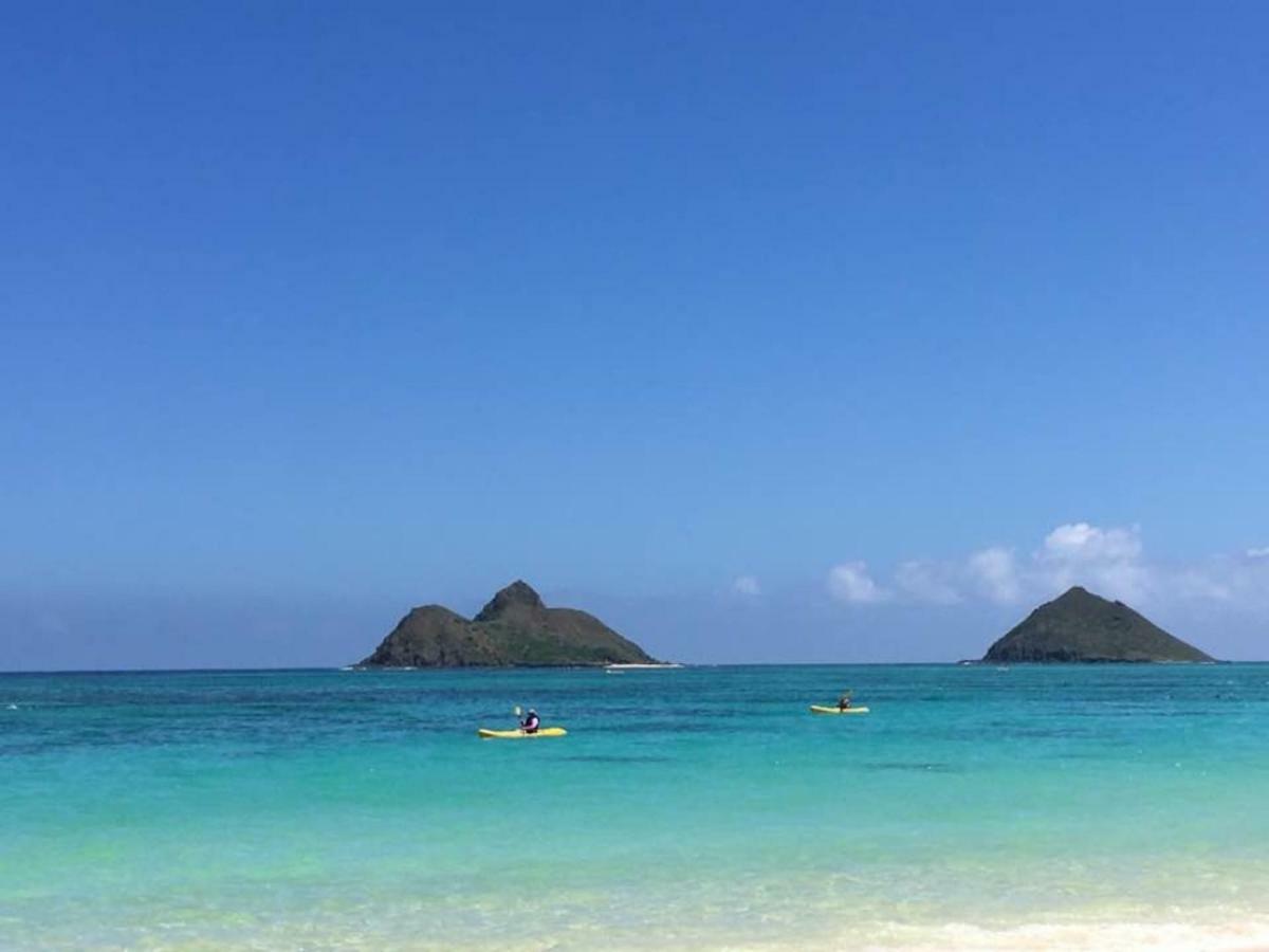Lovely Relaxing Lanikai Studio, Legal Vacation Rental Kailua Exteriör bild