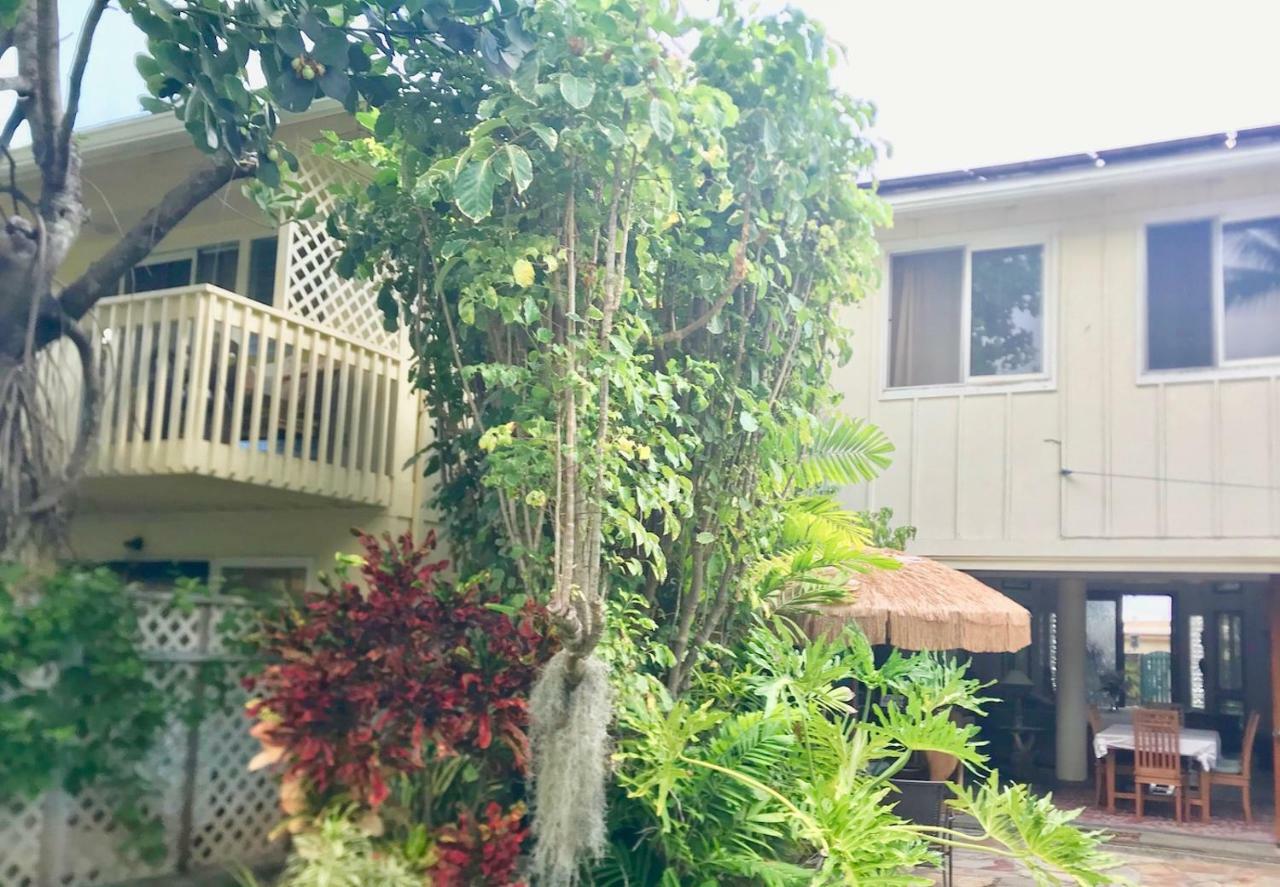 Lovely Relaxing Lanikai Studio, Legal Vacation Rental Kailua Exteriör bild